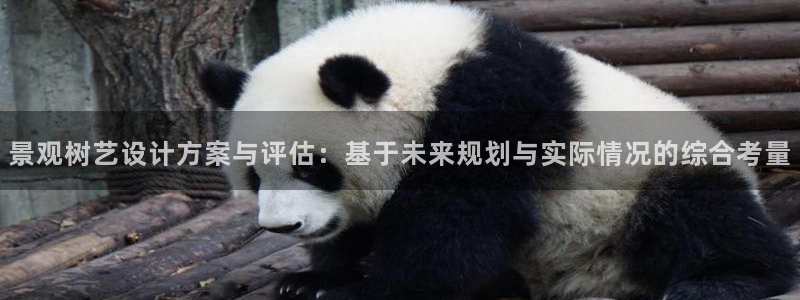 天顺娱乐铰943994:景观树艺设计方案与评估:基于未来规划与实际情况的综合考量