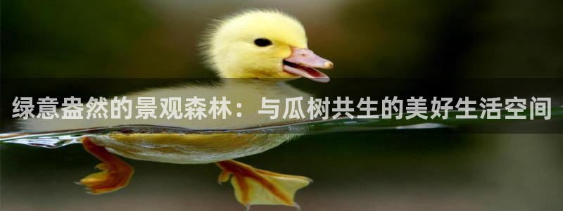 天顺娱乐仔33300j:绿意盎然的景观森林:与瓜树共生的美好生活空间